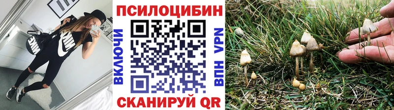 Псилоцибиновые грибы Psilocybine cubensis  Купить где  Данилов 
